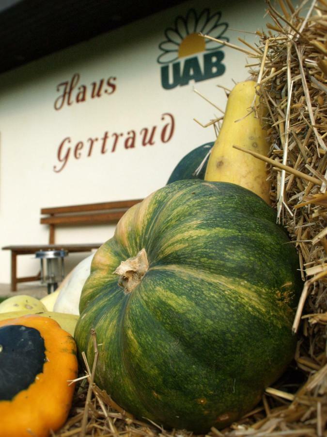 Haus Gertraud Villa Bad Gleichenberg Kültér fotó